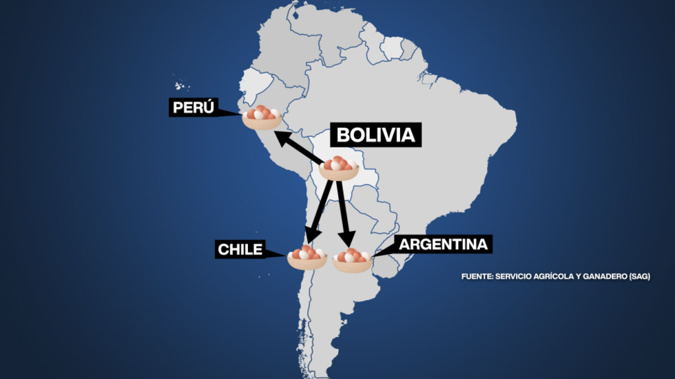 Autoridades de Perú y Argentina también reportan alza en el decomiso de huevos provenientes de Bolivia.