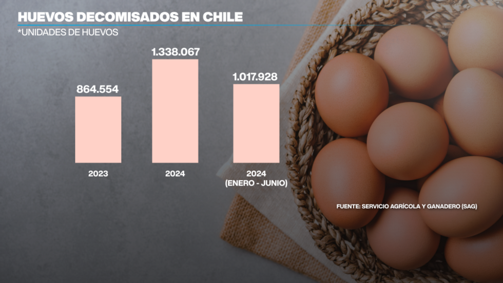 Entre enero y junio de 2025 Chile ha decomisado más de 1 millón de huevos.